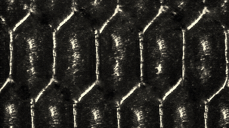 cells